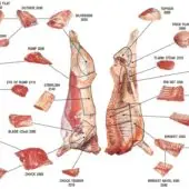 Introduction of Beef Butchery